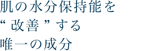 肌の水分保持能を改善する唯一の成分
