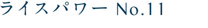 ライスパワーNo.11