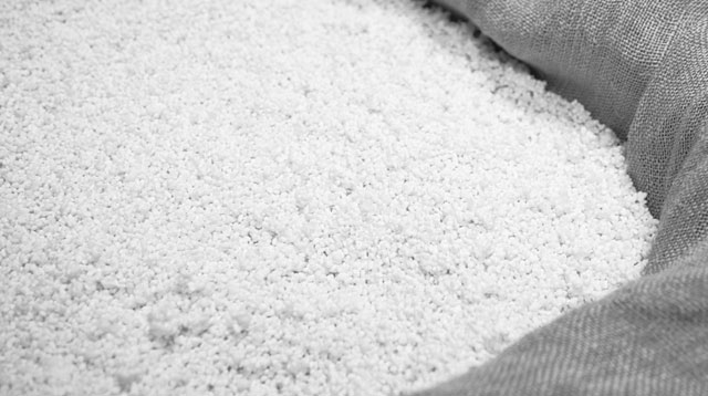 ライスパワーNo.11を生み出した、「発酵」が持つ美容パワー