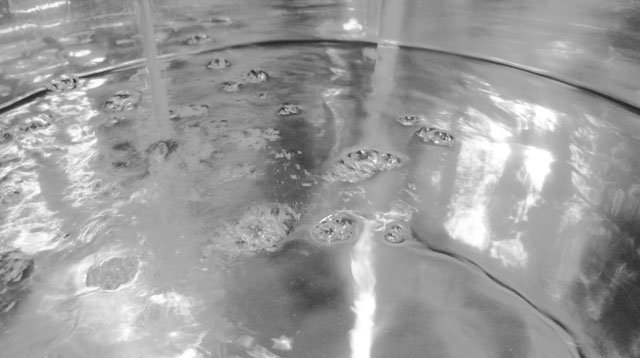 ライスパワーNo.11を生み出した、「発酵」が持つ美容パワー