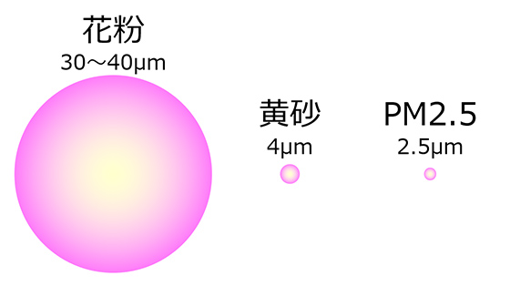 黄砂や大気汚染物質が肌に与える影響とその対策 Column Maison Kose