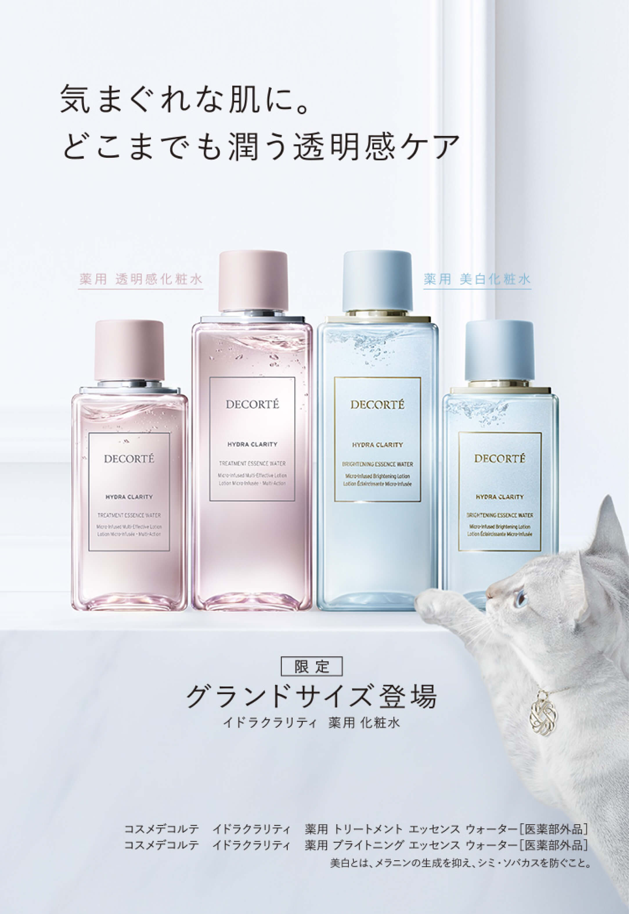 コスメデコルテ｜ Maison KOSÉ(メゾンコーセー)