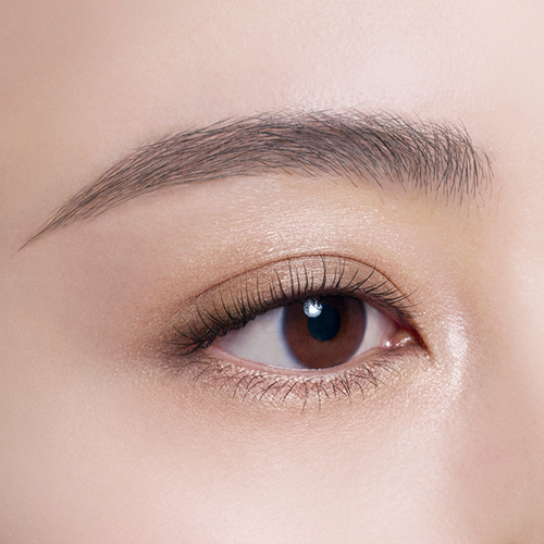 仕上がりのイメージ1