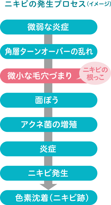 ニキビ発生のプロセス