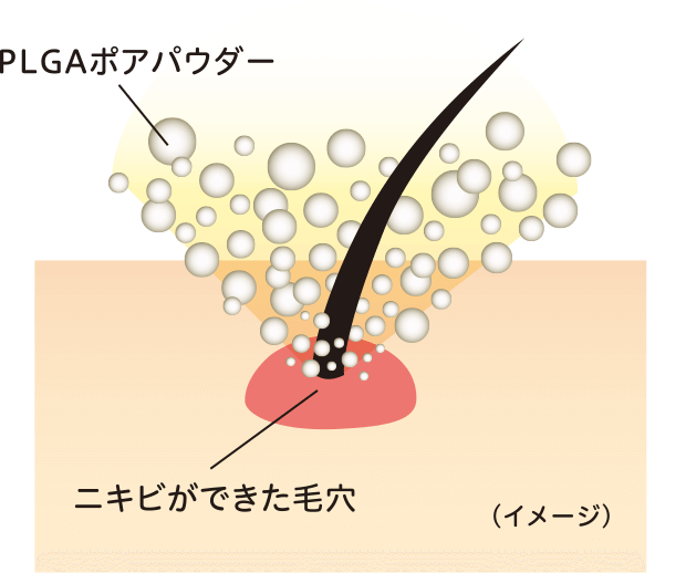 PLGAポアパウダー