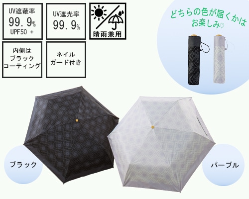 日傘2色