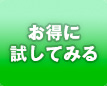 試してみる