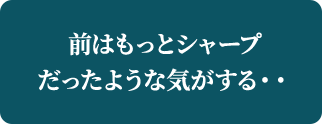 前はもっとシャープだったような気がする・・