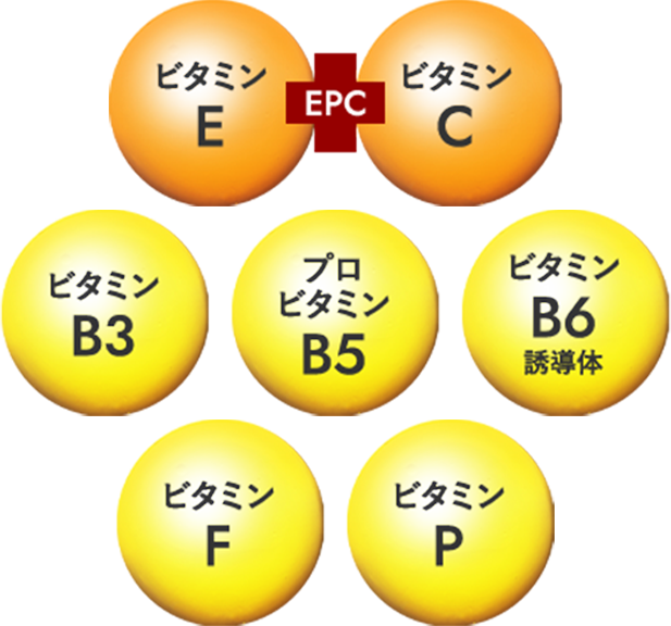 ビタミンE EPC ビタミンC ビタミンB3 プロビタミンB5 ビタミンB6誘導体 ビタミンF ビタミンP