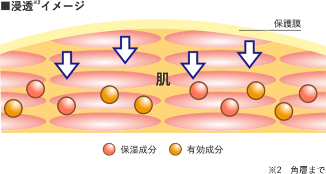 浸透イメージ