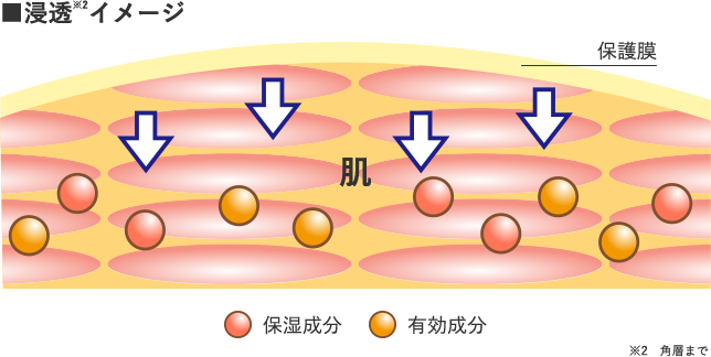 浸透イメージ