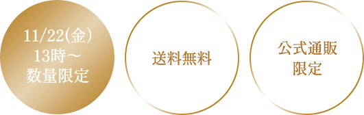 11/22(金)13時～数量限定