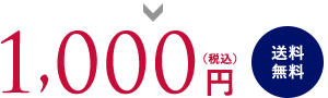 1,000円(税込)送料無料