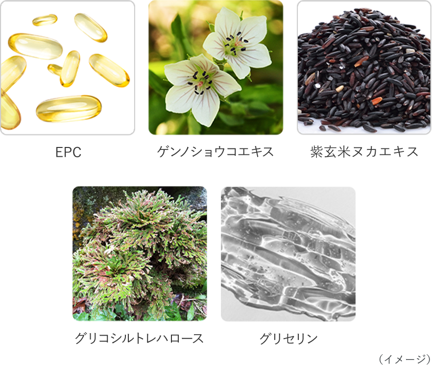 EPC ゲンノショウコエキス 紫玄米ヌカエキス グリコシルトレハロース グリセリン イメージ