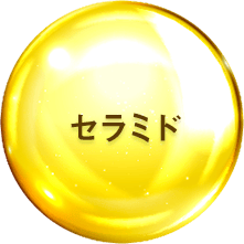セラミド