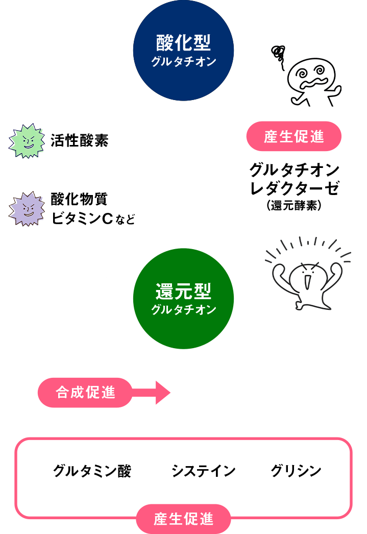 皮膚の中のグルタチオンの酸化還元のイメージ