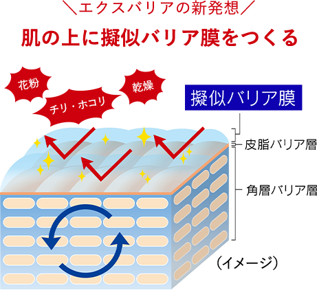 公式】エクスバリア今だけお得な限定セット実施中｜ Maison KOSE