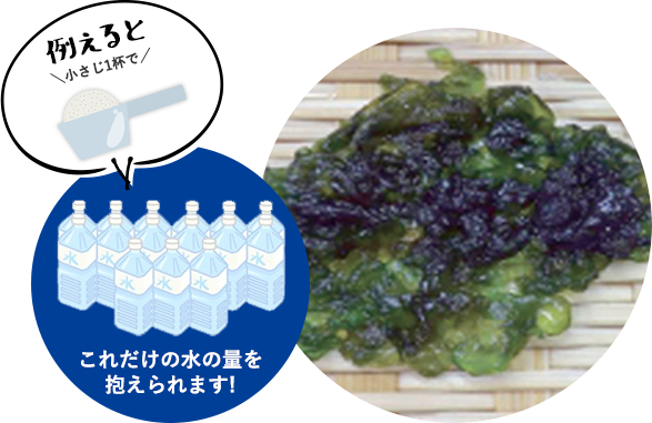 例えると、小さじ1杯でこれだけの水の量を抱えられます