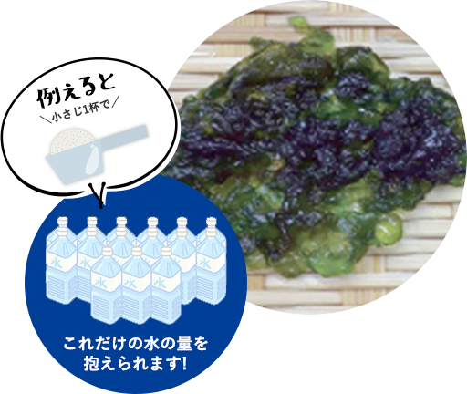 例えると、小さじ1杯でこれだけの水の量を抱えられます