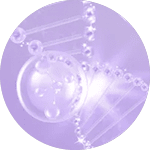 ナイアシンアミドのアプローチ