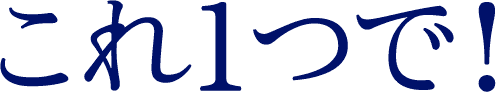 これ1つで！