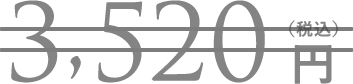 3,520円（税込）