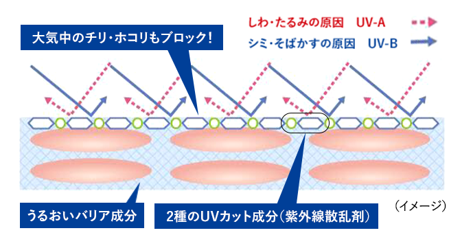ドライディフェンス処方イメージ