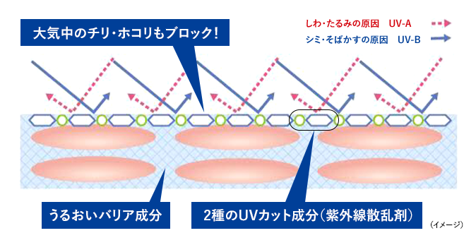 ドライディフェンス処方イメージ