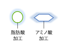 脂肪酸加工　アミノ酸加工