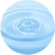 アミノ酸フィトステロール誘導体