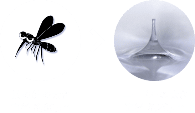 蚊の針の太さ直径約80μm　ニードルの太さ直径 約20μm