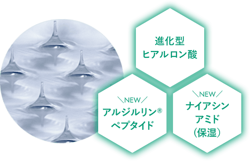 進化型ヒアルロン酸　NEWアルジルリン&reg;ペプタイド　NEWナイアシンアミド(保湿）