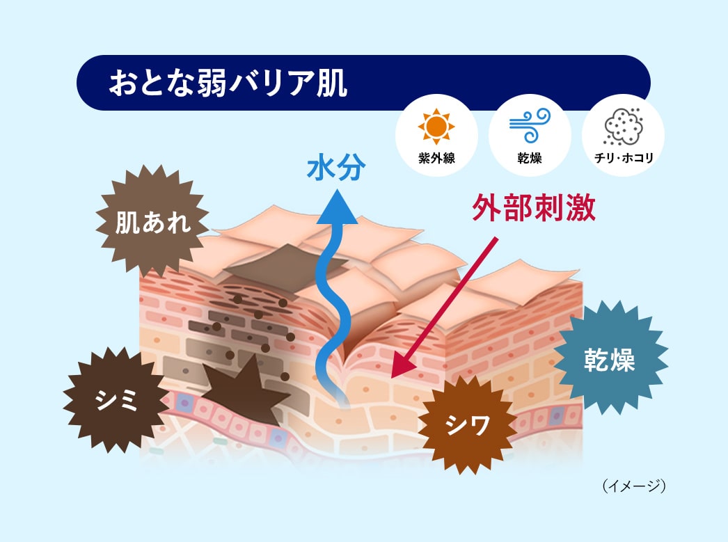 おとな弱バリア肌