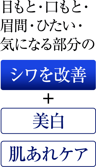 目もと・口もと・眉間・ひたい・・気になる部分のシワを改善+美白肌あれケア