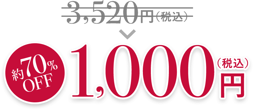 3520円（税込）→約70％OFF 1,000円（税込）