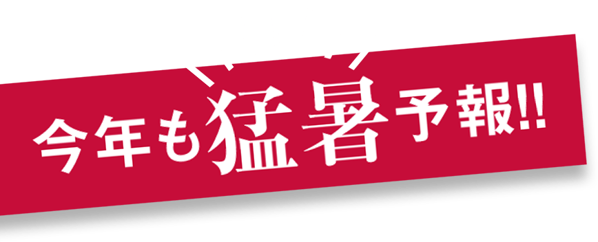 今年も猛暑