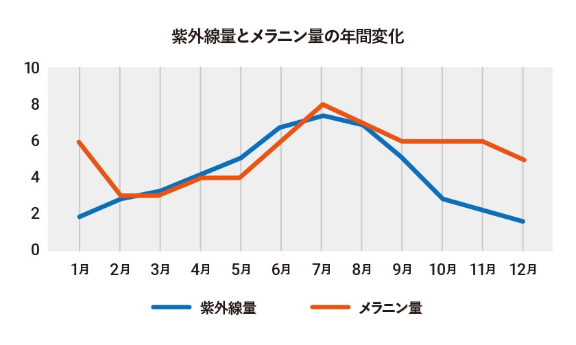 紫外線量とメラニン量の年間変化