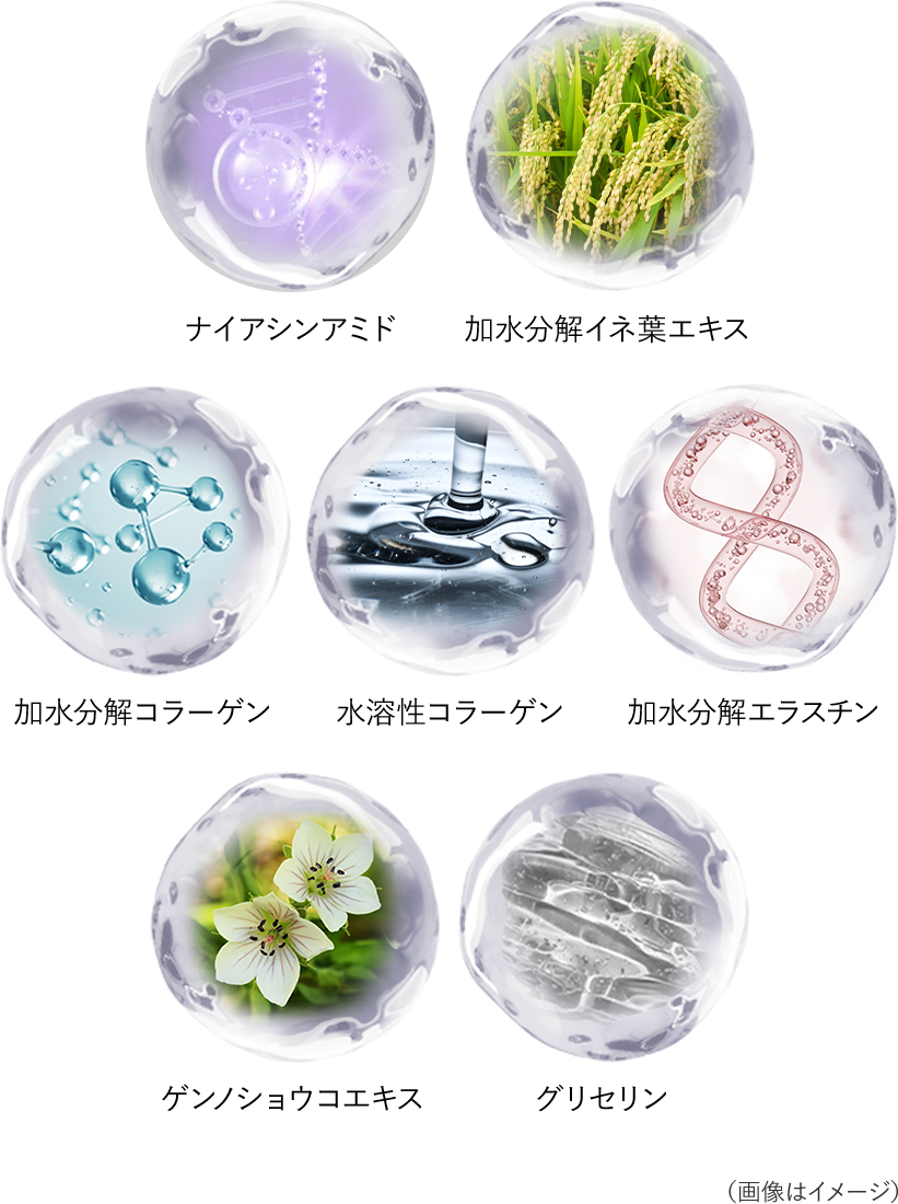 ナイアシンアミド　加水分解イネ葉エキス　加水分解コラーゲン　水溶性コラーゲン　加水分解エラスチン　ゲンノショウコエキス　グリセリン　画像はイメージ