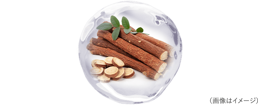 画像はイメージ