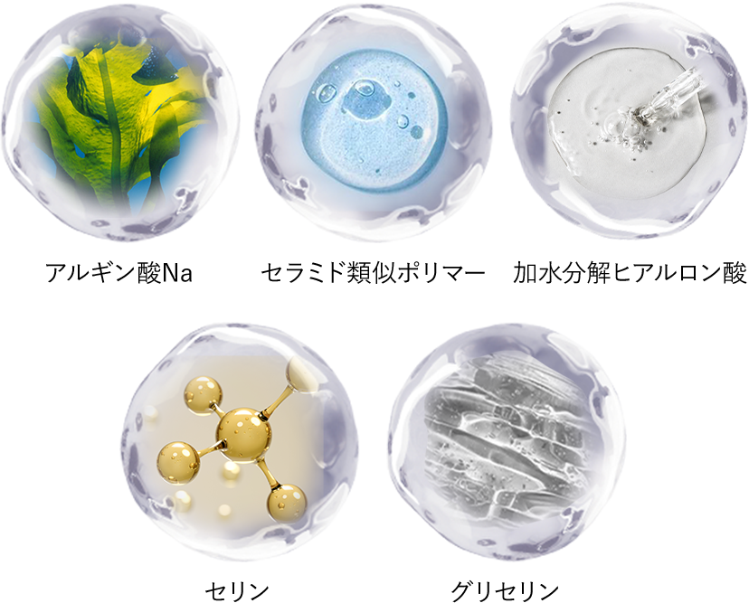 アルギン酸Na セラミド類似ポリマー 加水分解ヒアルロン酸 セリン グリセリン