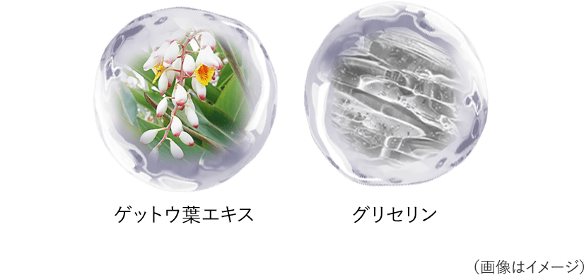 ゲットウ葉エキス グリセリン