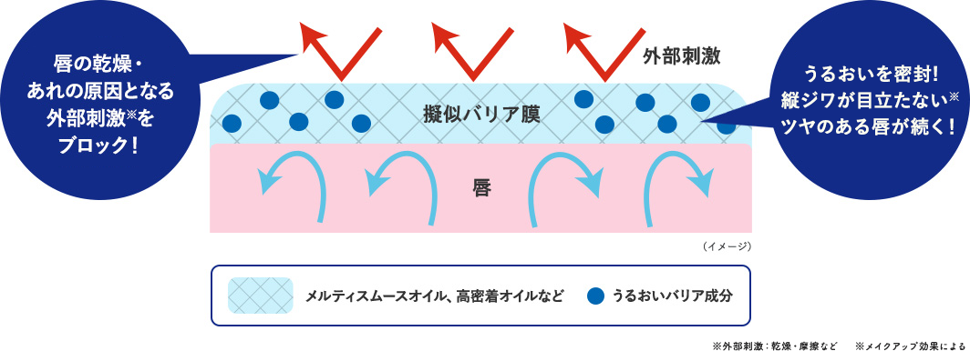 唇の乾燥・あれの原因となる外部刺激をブロック！うるおいを密封！ツヤのある健やかな唇が続く！