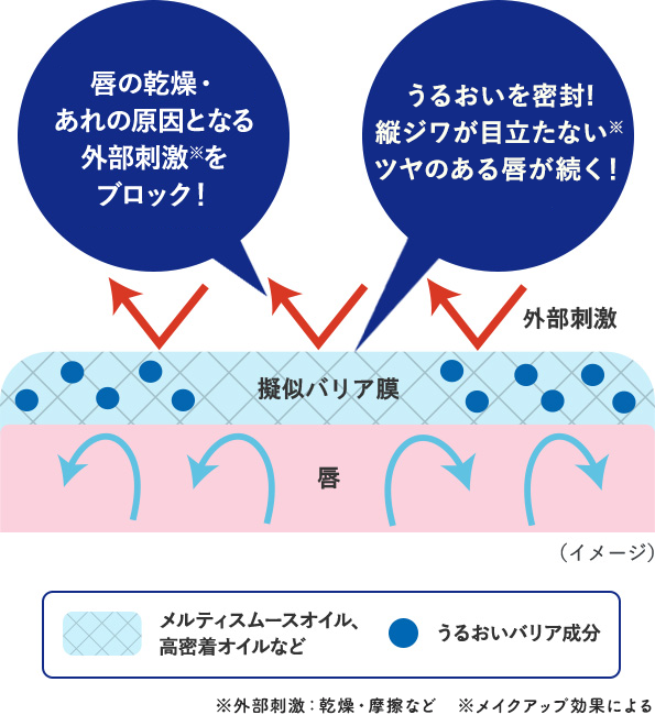 唇の乾燥・あれの原因となる外部刺激をブロック！うるおいを密封！ツヤのある健やかな唇が続く！