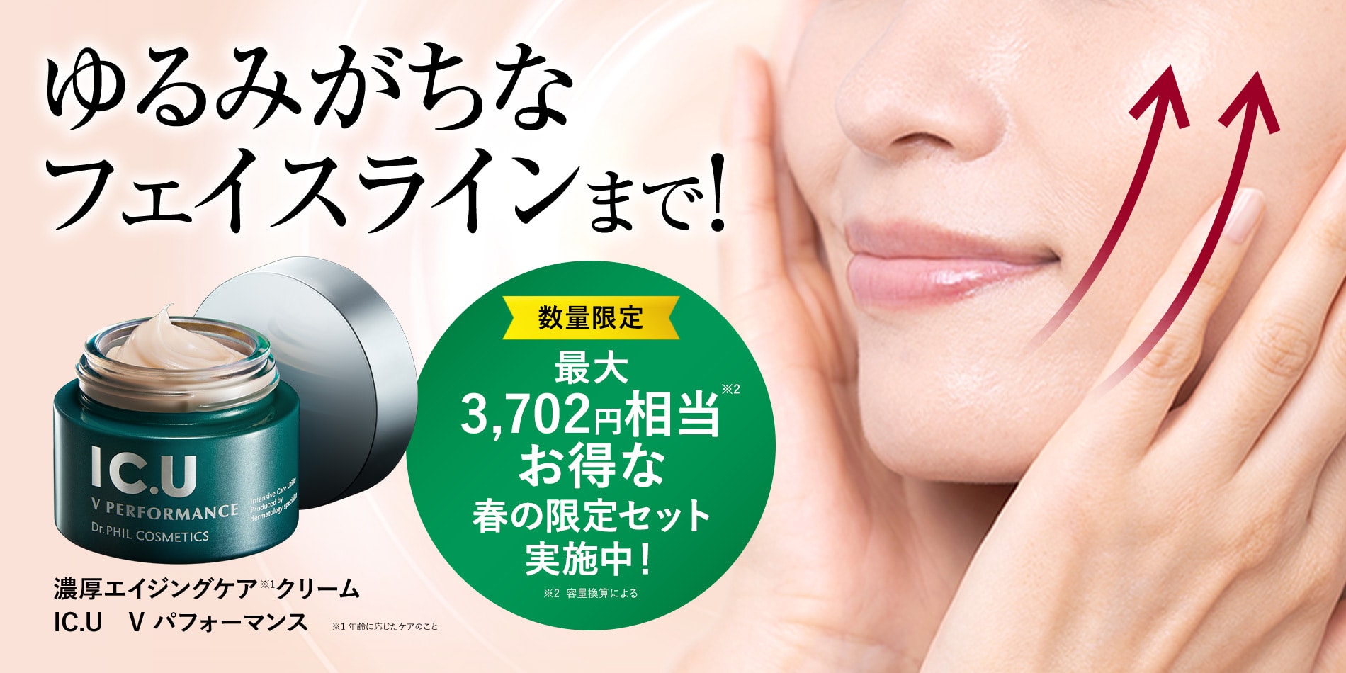 Vパフォーマンス