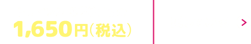 トライアル約20日間分 1,650円(税込)試してみる