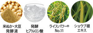 米ぬか・大豆発酵液　発酵ヒアルロン酸　ライスパワー(R)No.11　ショウブ根エキス