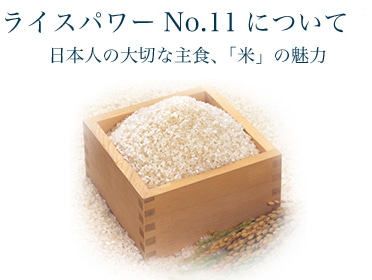 ライスパワーNo.11について 日本人の大切な主食、「米」の魅力