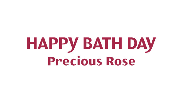 ハッピーバスディ プレシャスローズ