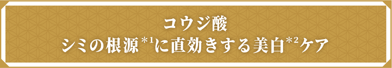 コウジ酸シミの根源＊1に直効きする美白＊2ケア