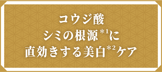 コウジ酸シミの根源＊1に直効きする美白＊2ケア